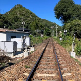 高山本線と遠見山💙