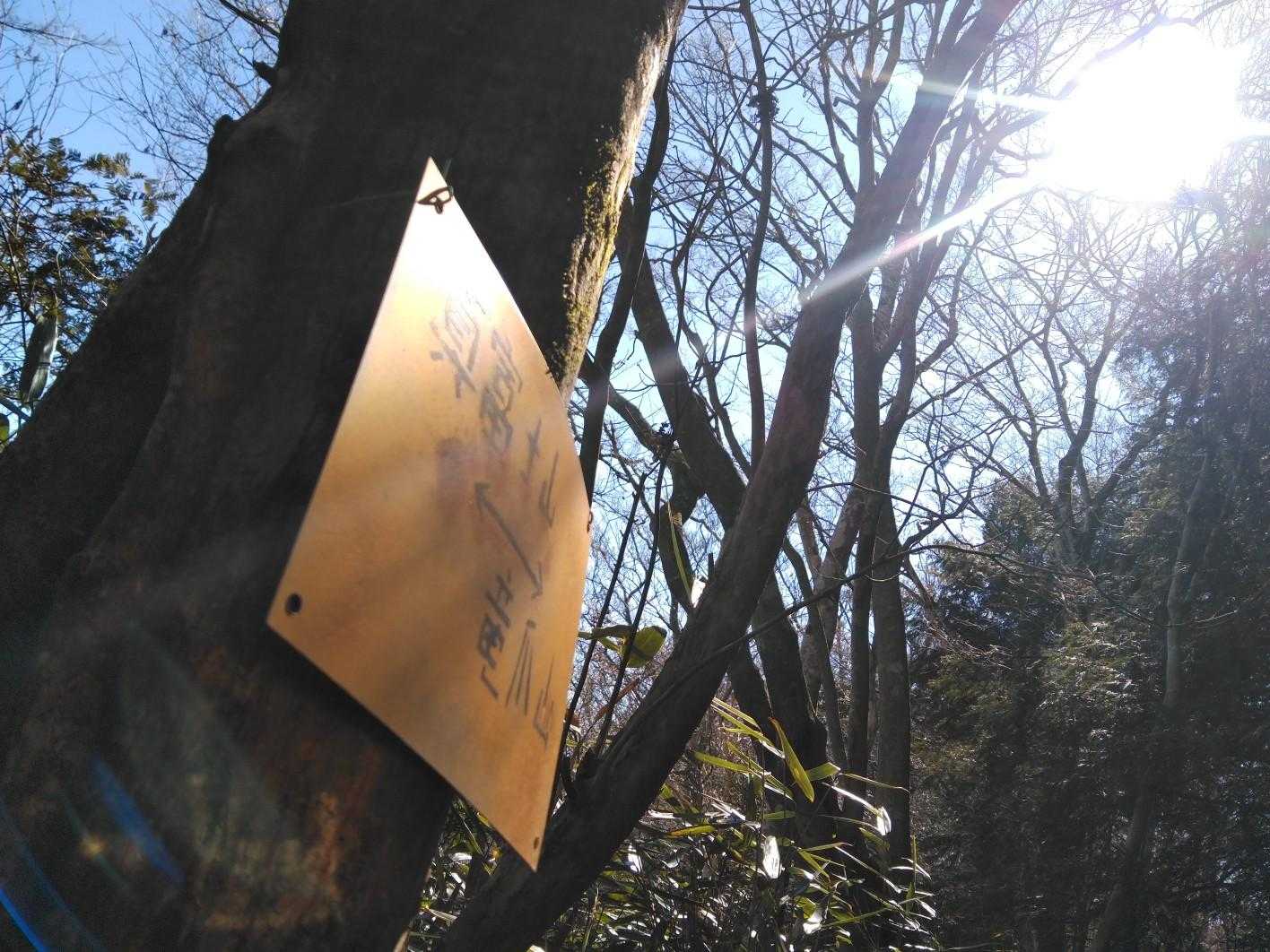 さぁ行くぜ、待ってろバンビちゃん🦌