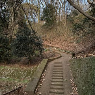 駐車場から登っていきます