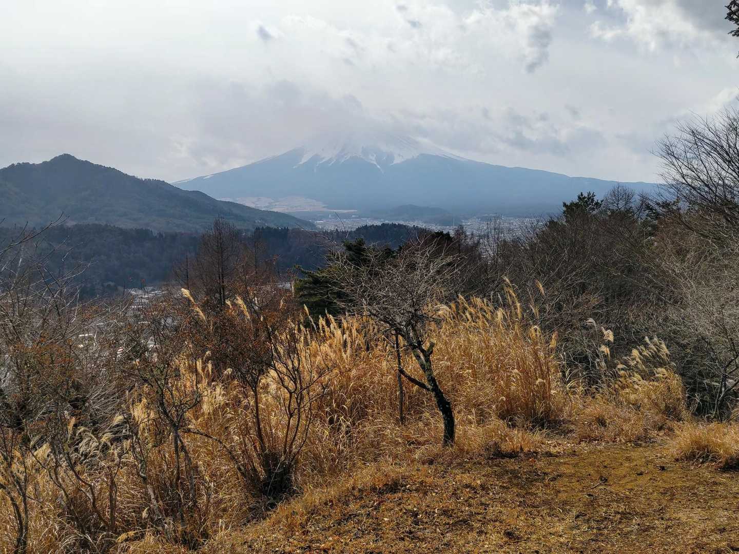 もうちょっと雲が無ければな〜