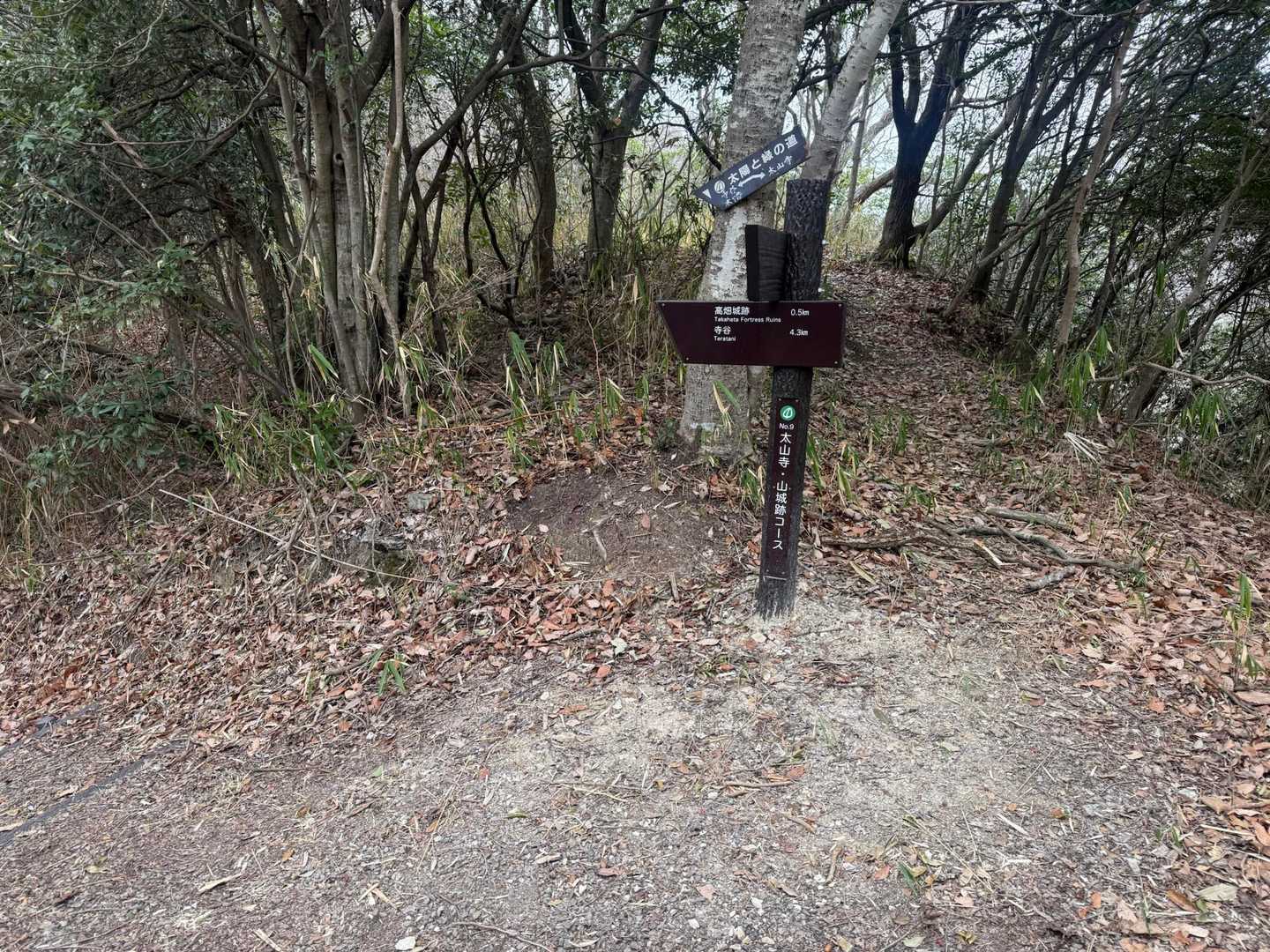 ここ分岐、
YAMAPコースは左側へ。
真っ直ぐいっても山頂にいける
