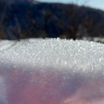 表面霜の観察