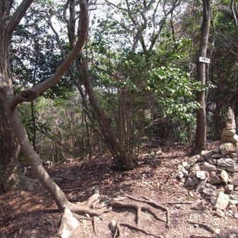 あとは稜線歩き。