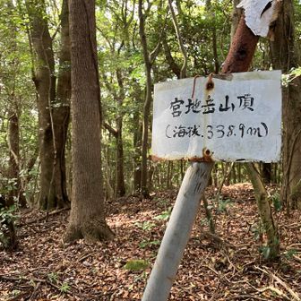 宮地岳山頂に着きました