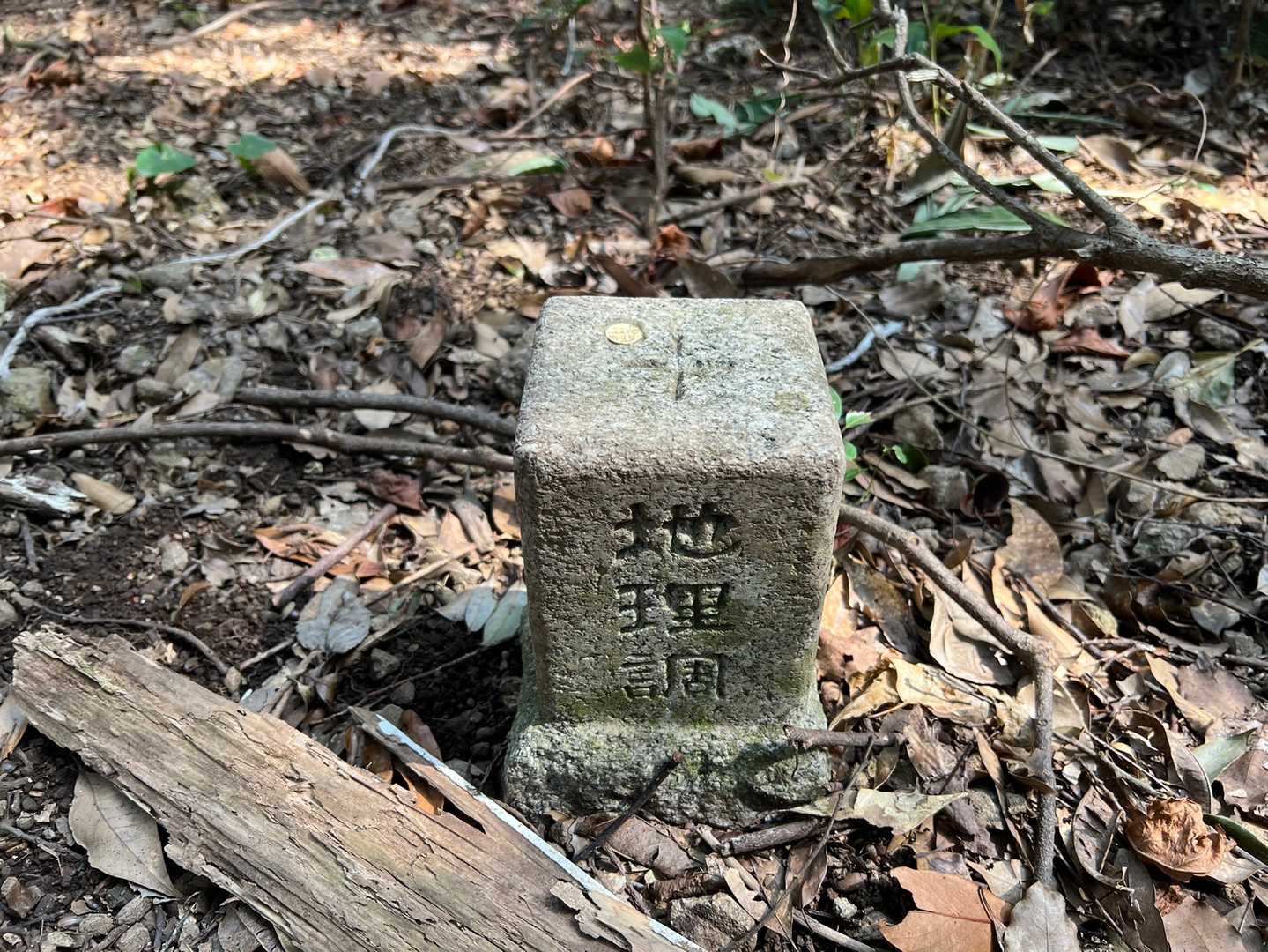 向山（鹿児島県）の写真
