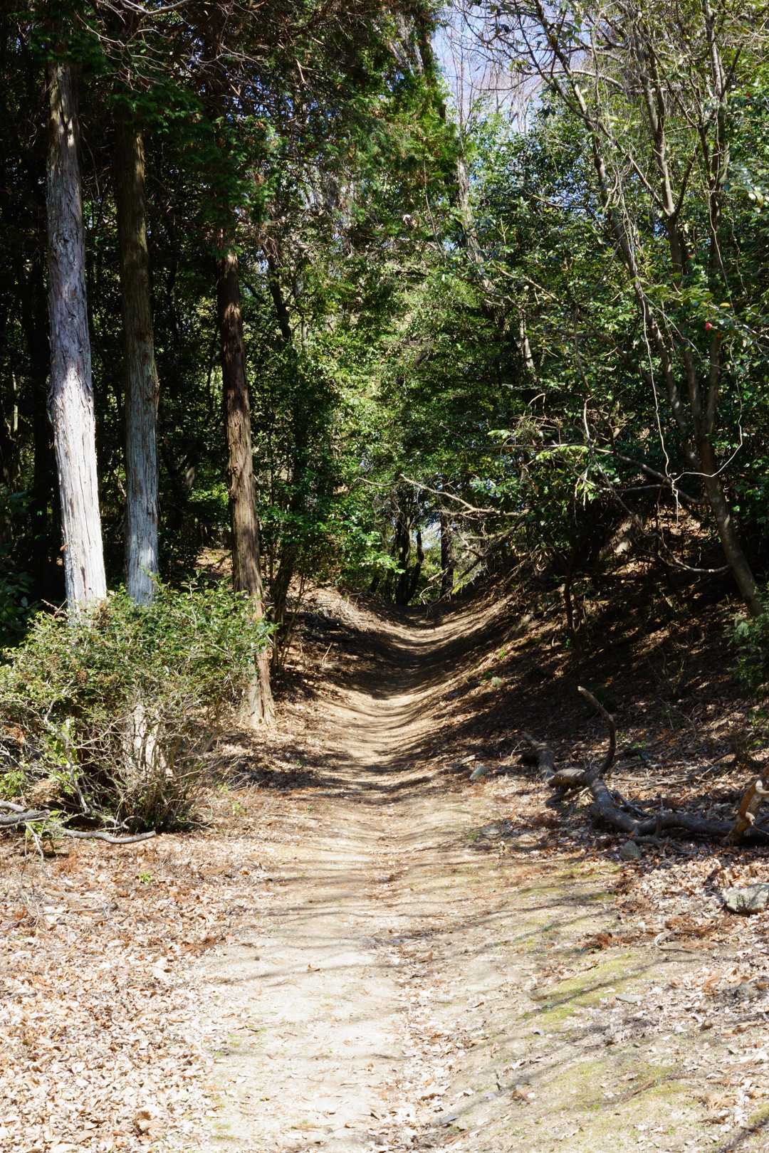 随願寺-増位山-廣峯神社-弥高山 周回コースの写真