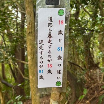 もうお腹いっぱいになって来た🤣