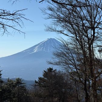 金山山頂からの富士山🗻
広々とした山頂で、富士山を眺めながらご飯を食べている方も。
