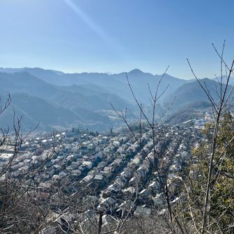 住宅が網目に並んでいる