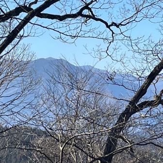 中ノ棒山からの眺望です。
見えているのが多分鷹巣山、その右奥が多分雲取山。

奥多摩、奥秩父の山好きのハイカーは、雲取山が見えると、元気か百倍になるのは、なぜでしょう？