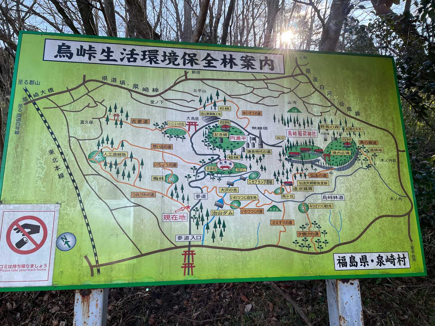 烏峠周辺には、たくさんの小道があります。YAMAPの赤線だけじゃなく、複雑に整備されてます。