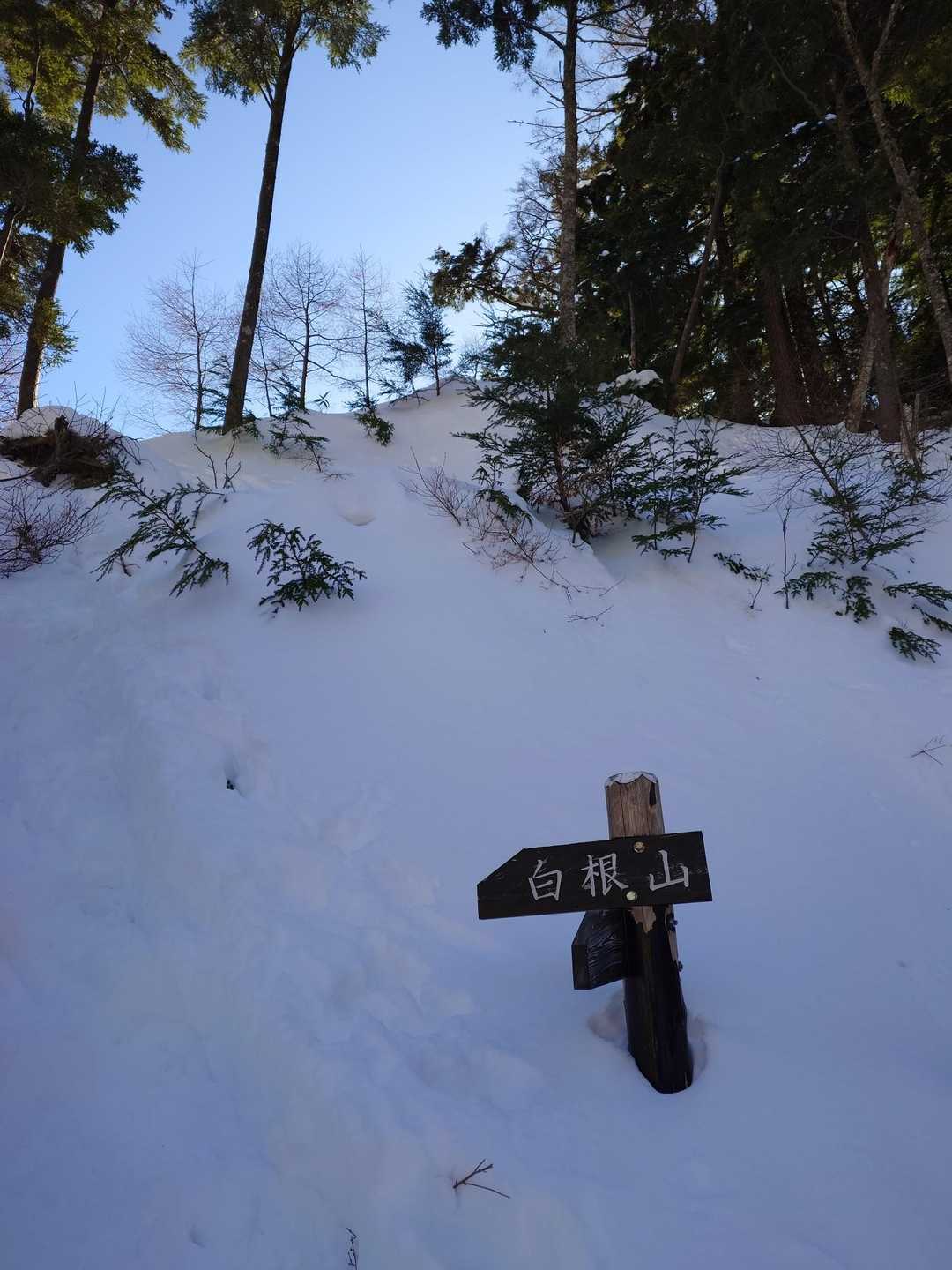 登山口です