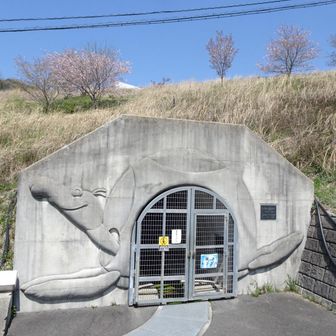 地滑りのあった地なので資料館やらなんやら色々。