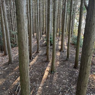 ここを抜けると