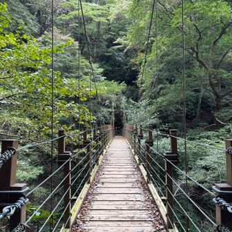 吊り橋