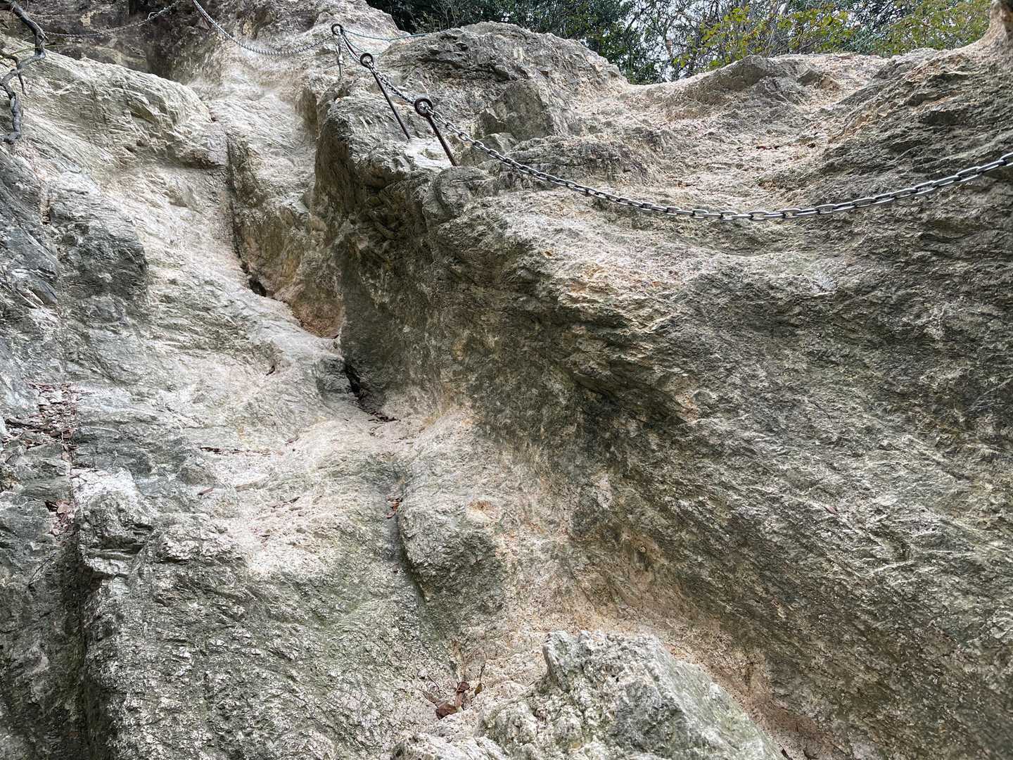 須磨浦公園駅前バス停-旗振山-鉄拐山-高倉山-高倉台登山口 縦走コースの写真