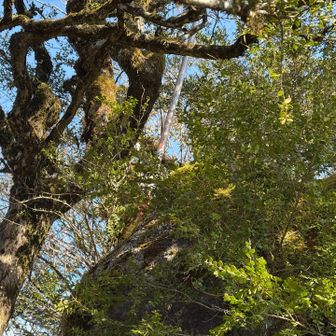 山頂と思われる最も高いところに設置された棒