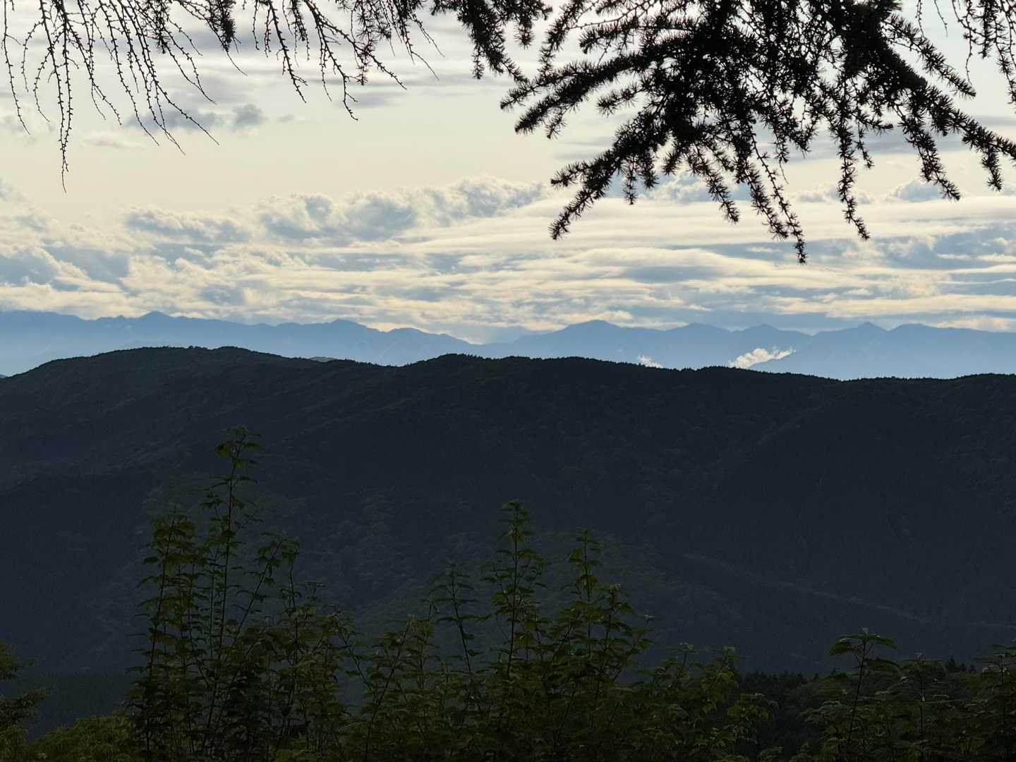 伊勢神峠-大多賀峠登山口-寧比曽岳-富士見峠 往復コースの写真