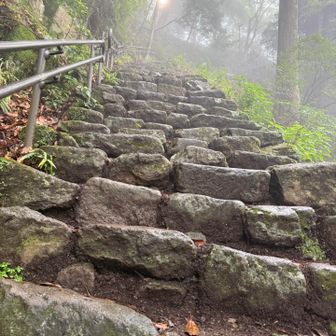 ひたすら階段を登ります
ガスで薄暗いです