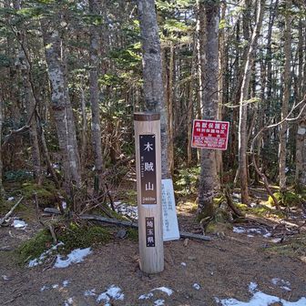 毎回読み方忘れる「とくさやま」
来たときはほぼ雪なくなってました。
眺望ゼロ。テーブルあって休憩できます