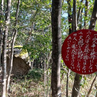 一番高いところを目指したら大きな岩が。その岩を登ってみたら山頂標識が。展望台があるはずだが？