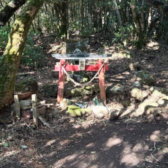 稲生神社⛩️正月🎍は地元民が参拝するとか🧐

前途した様に山頂には展望ポイントは存在せず深い照葉樹林に囲まれた山頂です♪

山頂看板🪧は存在しない様で稲生神社⛩️が山頂の様です🙌🙌