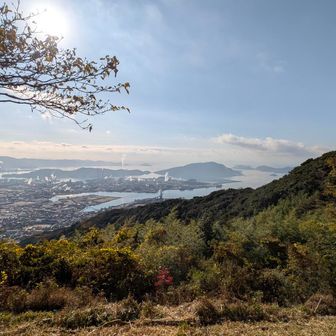東峰展望所
国東半島はうっすら見えるだけ
本日常連7名