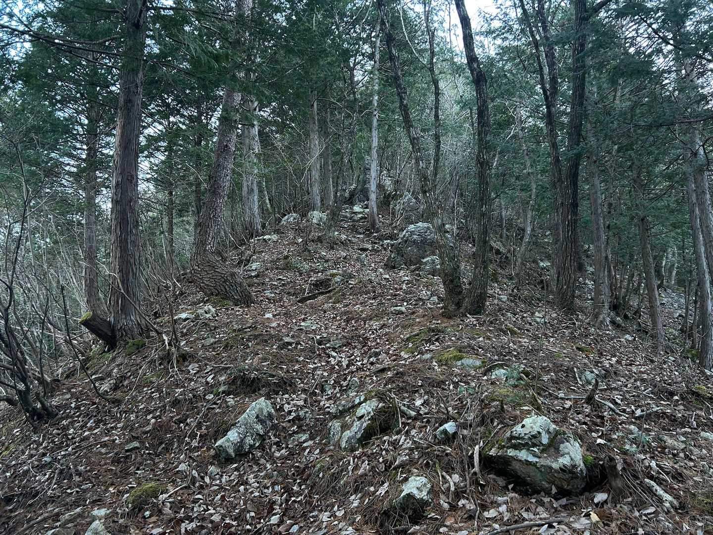 雪はない💦