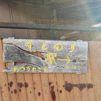 可愛いくて撮った🐤けど
すとのす？はとのすじゃなくて？？