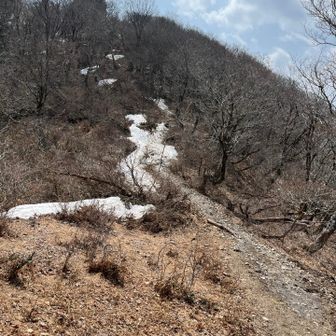 アイゼンなしで歩きました。