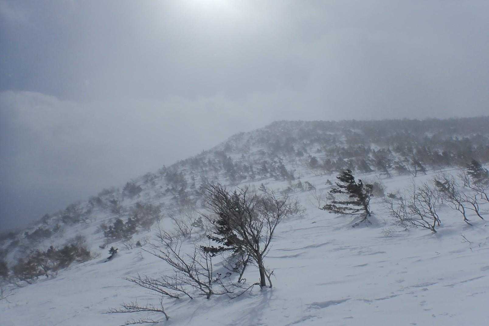 奥岳登山口-薬師岳 往復コースの写真