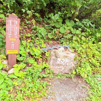 登山口まで下りてきた