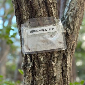 阿弥陀ヶ峰196m
京都東山三十六峰の一つ