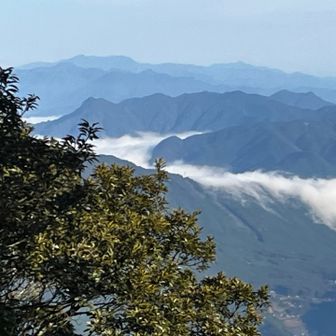 何も見えへんやん、とおもっていたら
おおお〜！木の間から北の方を見ると、奥の方に大峯奥駈道の稜線見えました　感動🥹