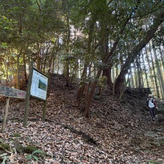 最初の分岐に戻ってきた！