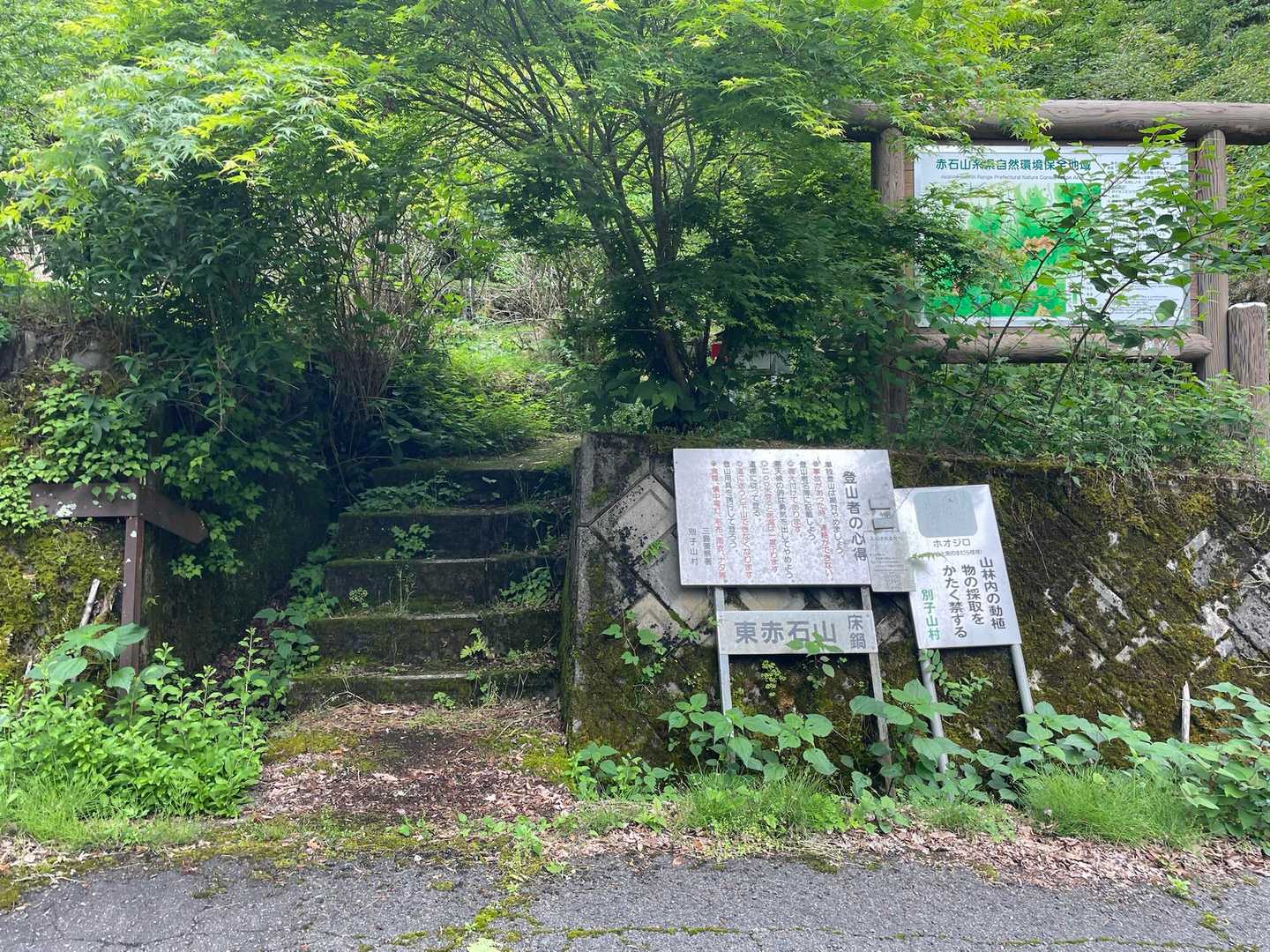 逆からはこんな感じでした