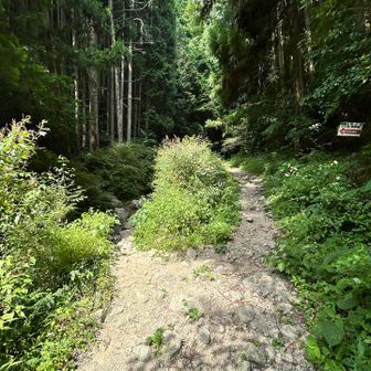金剛山へは沢を左へ渡り上がって行く取付き