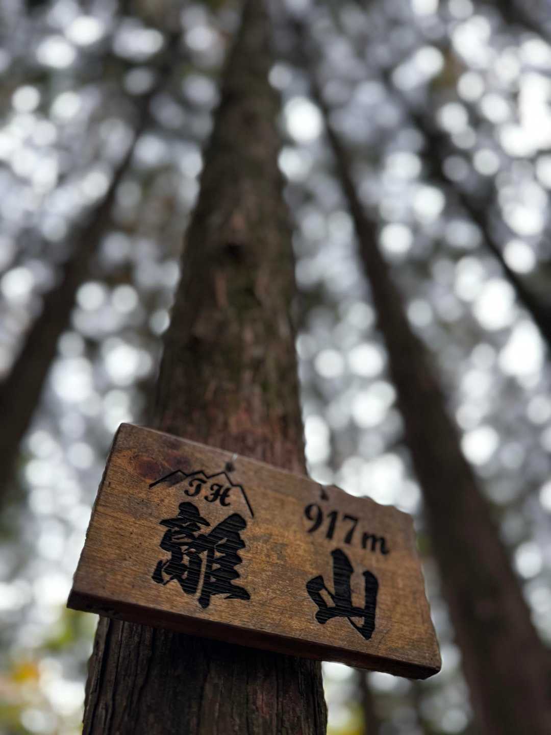 前からある山頂札も健在