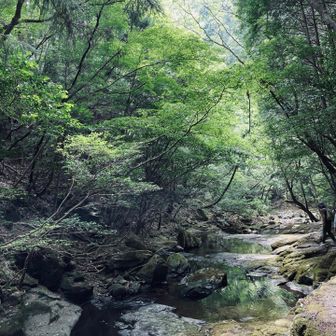 帰りは帰りの景色がある。光の筋がうつくしいなー