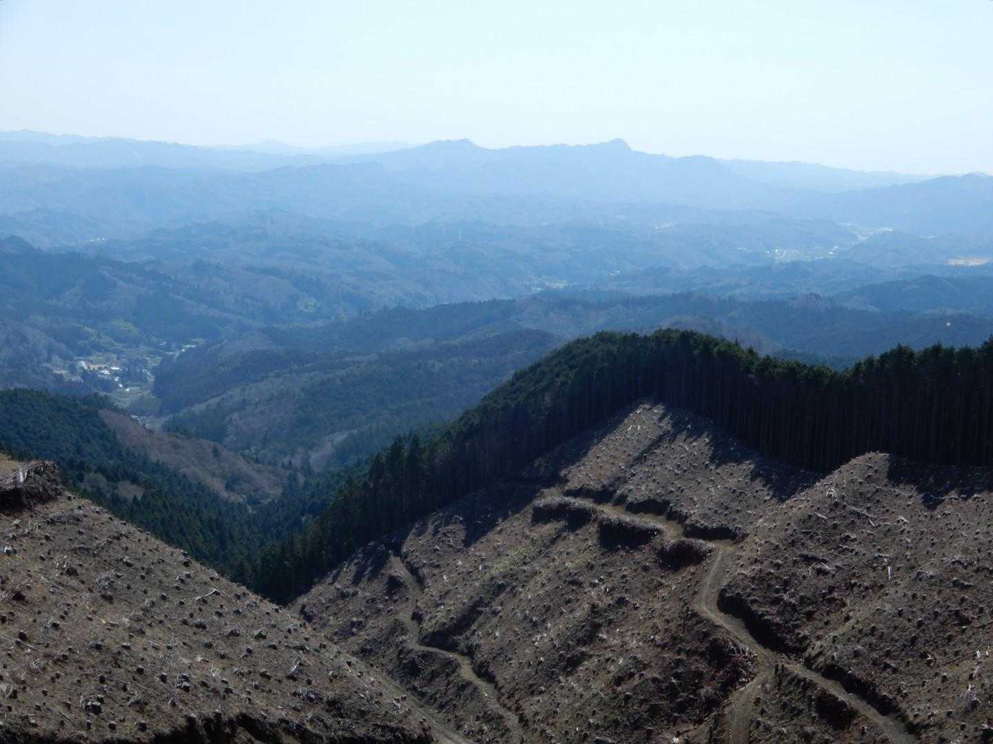 後場山ノ神鳥居-戸屋山-見張山 往復コースの写真