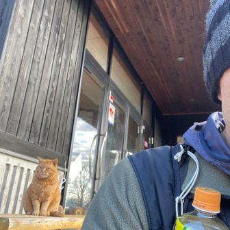 朝早めに行くと、会える確率高いかな🐈