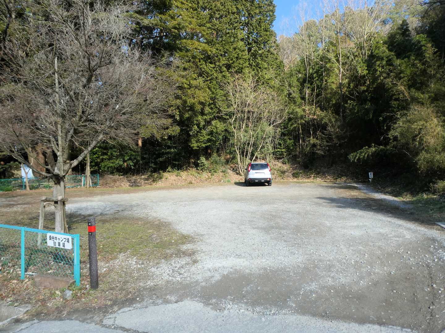 戻ってきました