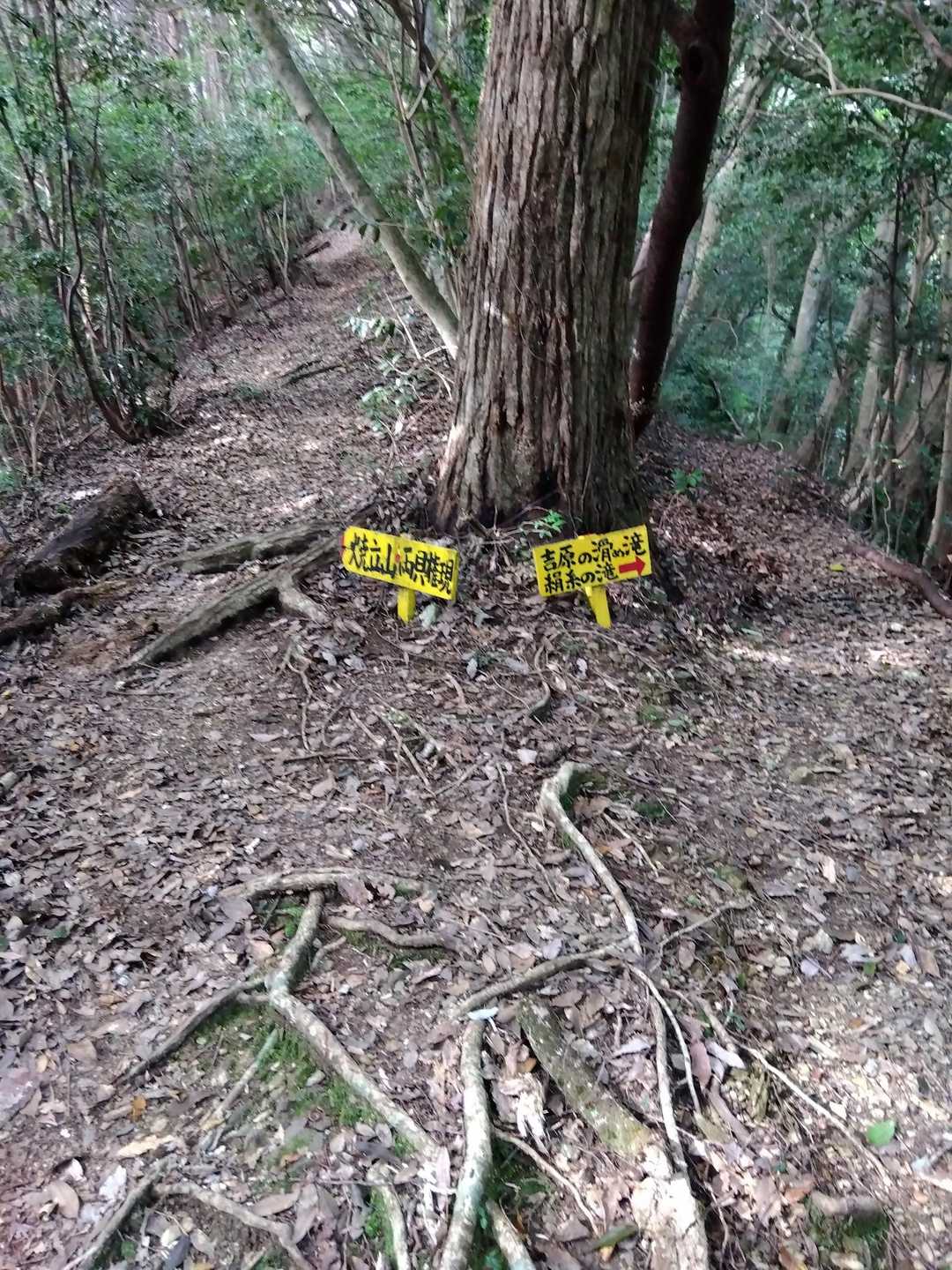 分岐💛