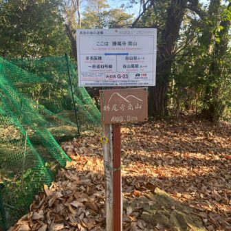 気持ちよく走りすぎて、分岐を逃してました。