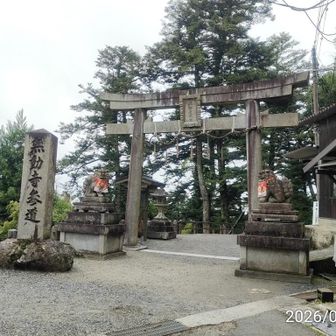 寺なのに鳥居？参道はよく清掃されている