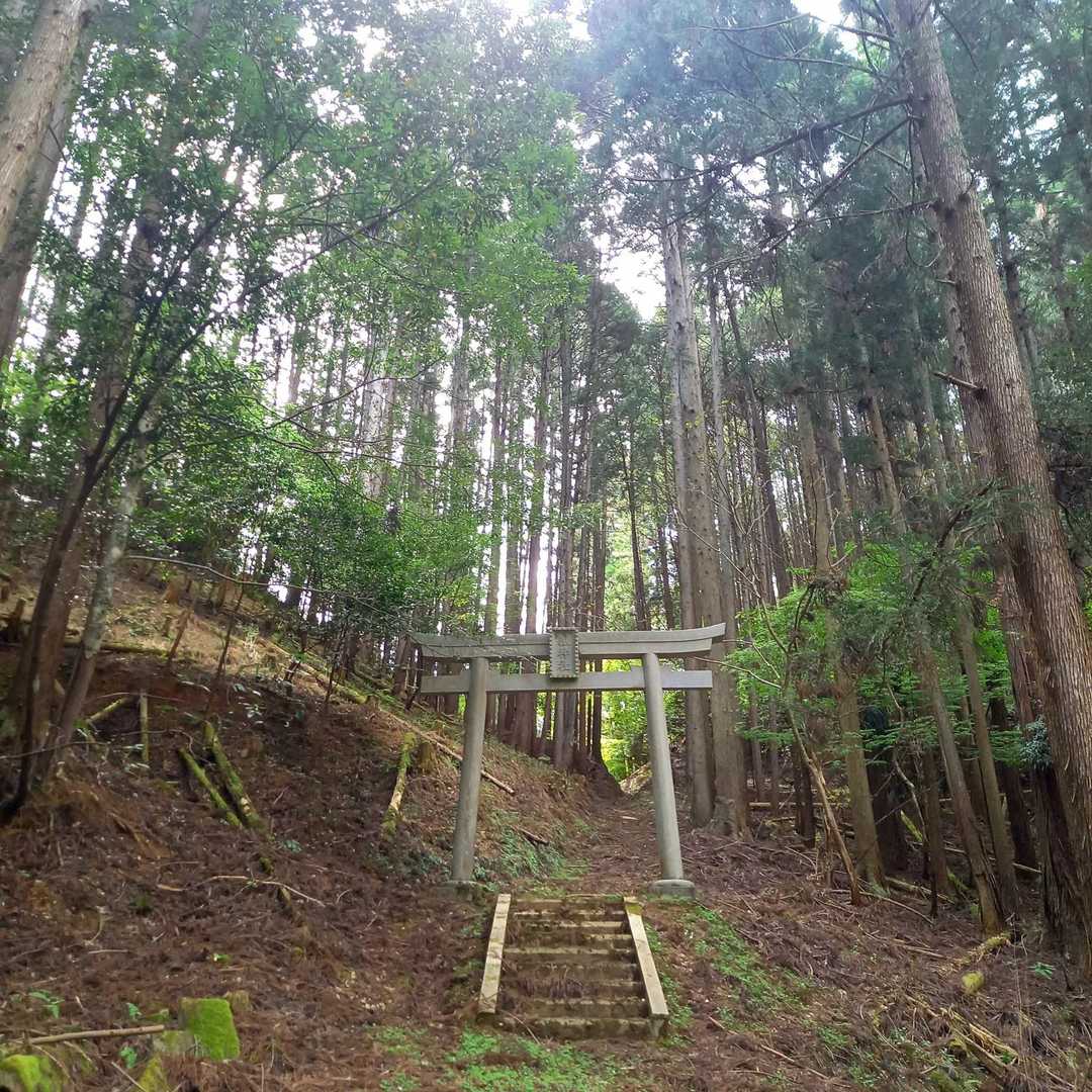 一旦ロードに出たかと思いきや駐車場🅿️までまた山の中へ

古～い神社⛩️をくぐり抜ける

なかなかの急登下りだったけど面白かった🎵