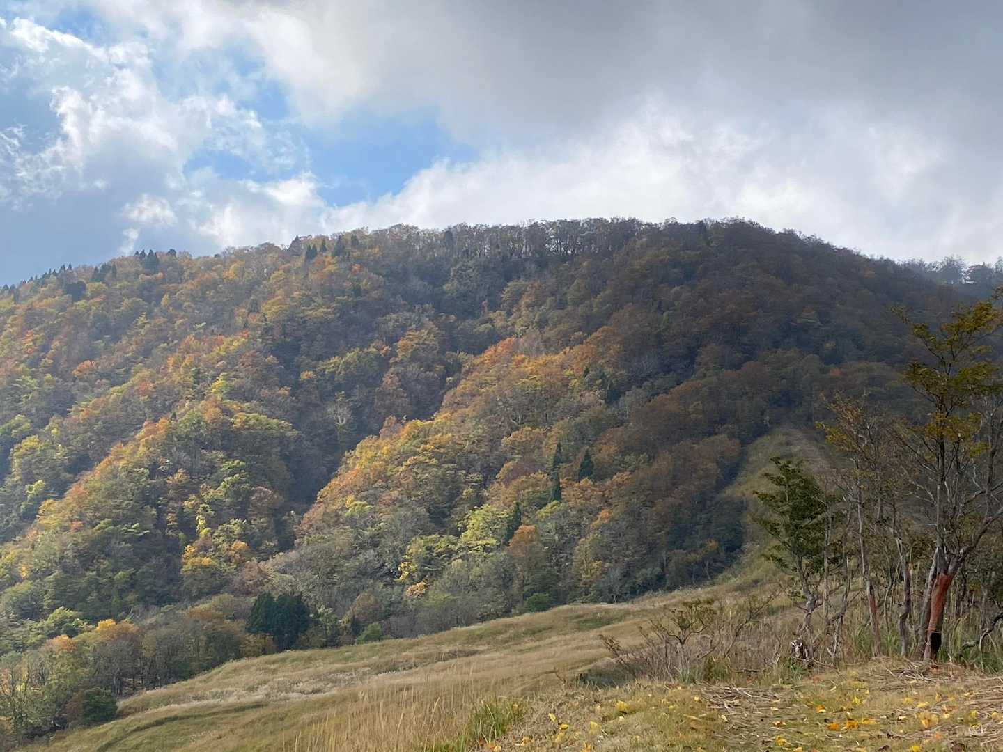 氷ノ山登山口-地蔵堂-小代越-ハチ高原バス停 縦走コースの写真