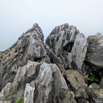 ✌️立須山山頂！
ガスのおかげで、北アルプスに行ってきたよ〜と言ってもバレなそうな📸になってます😙
