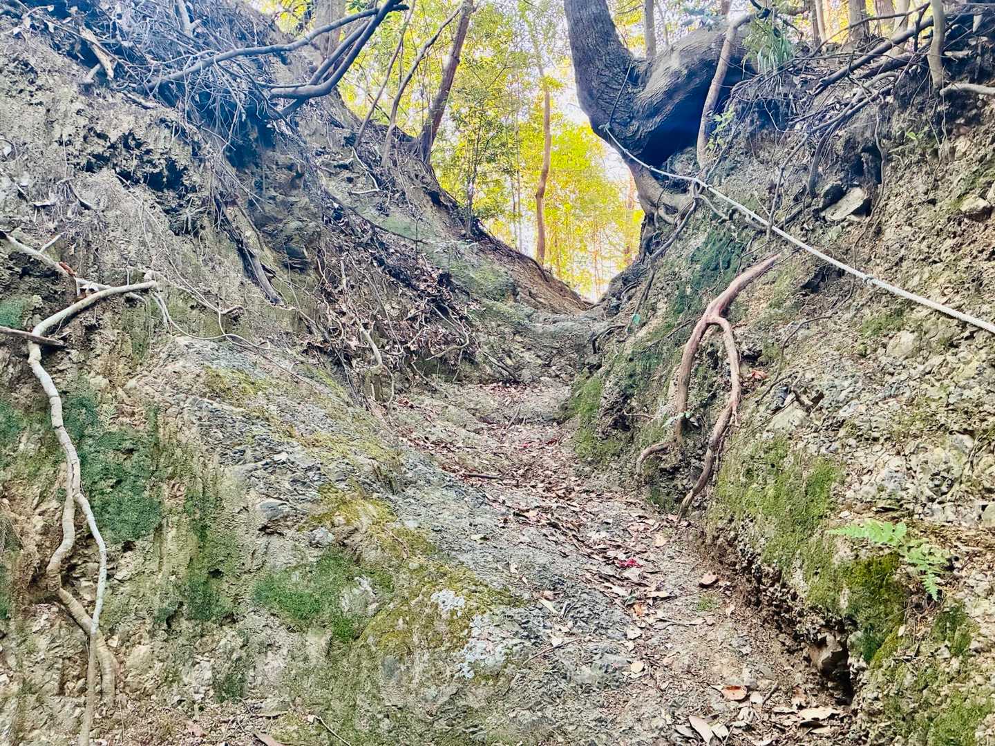 登山っぽくなってきた😁