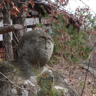 お寺の境内を上って行くと